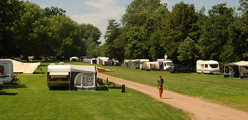 Kamperen op een prachtige grasveld van De Stadscamping Deventer gelegen aan De IJssel.